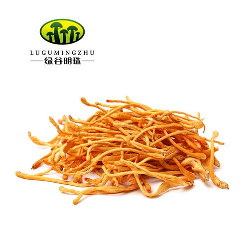 有机蛹虫草提取物8:1 中药提取物的现代应用与价值